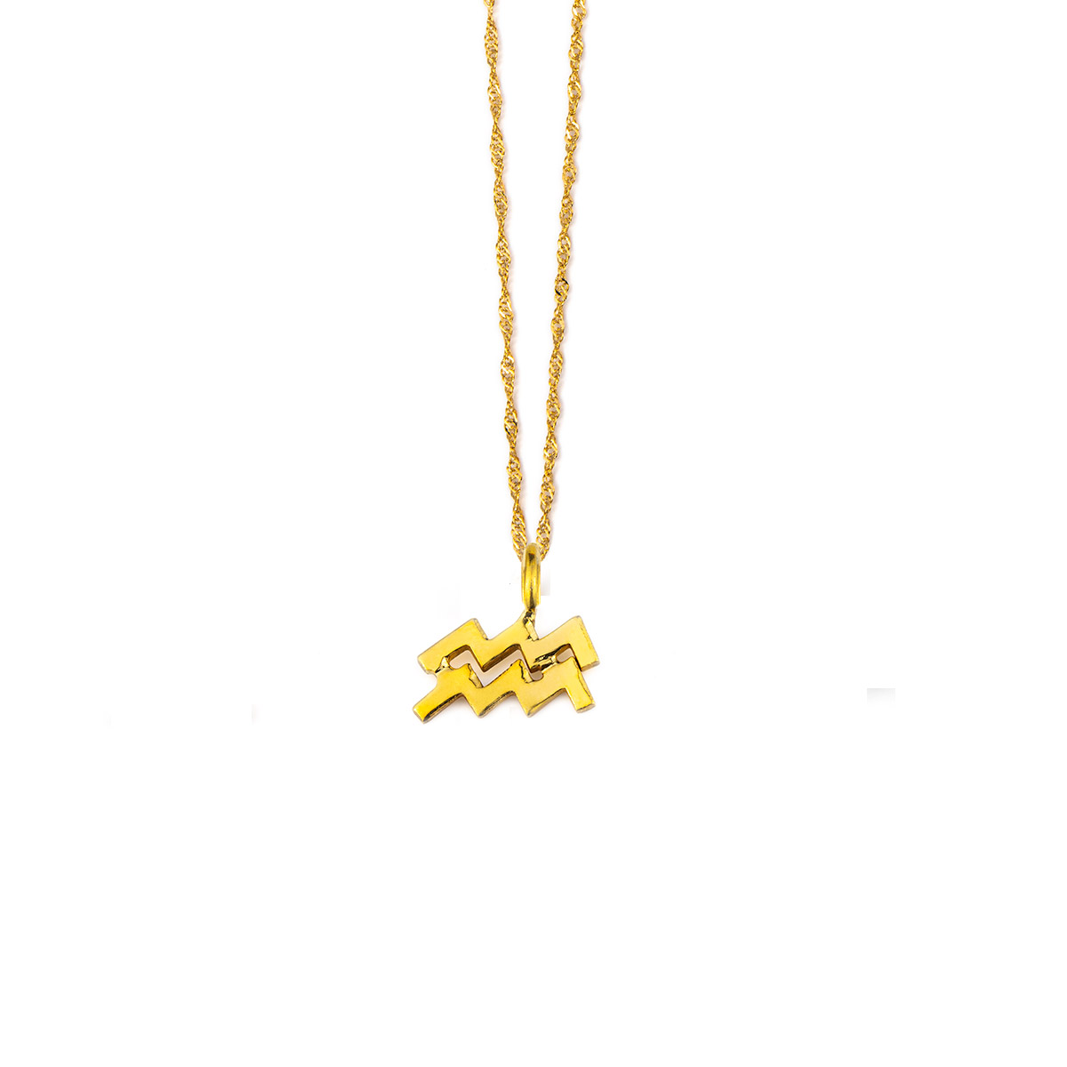 Aquarious Zodiac Sign Necklace - 14k Gold