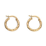 Hoop Earrings in 14k Gold