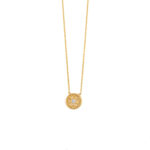 Circle Necklace with Zircon - 9K Gold