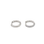 Zircon Hoops Earrings