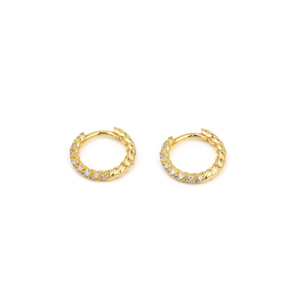 Shiny Zircon Hoops Earrings