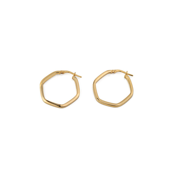 Pentagon Hoop Earrings