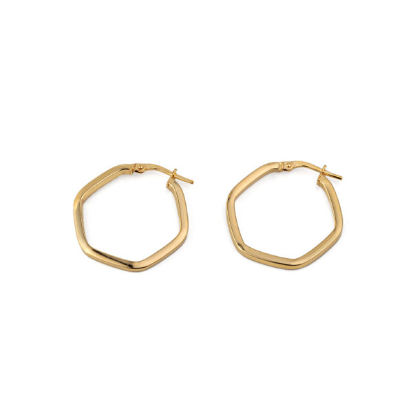 Pentagon Hoop Earrings