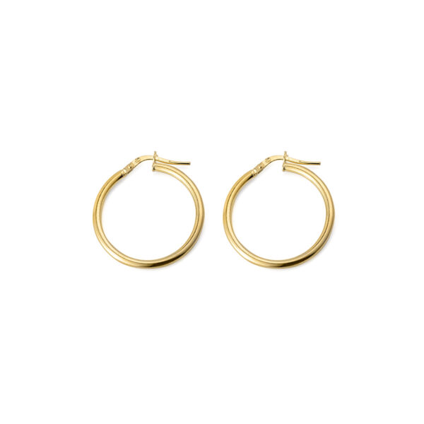 Hoop Earrings
