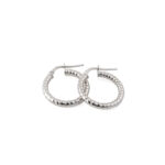 Twisted Hoops Earrings
