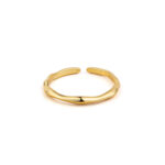 Golden Simplicity Ring - 925 Sterling Silver and Gold Plated