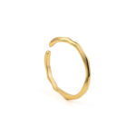 Golden Simplicity Ring - 925 Sterling Silver and Gold Plated - Image 2